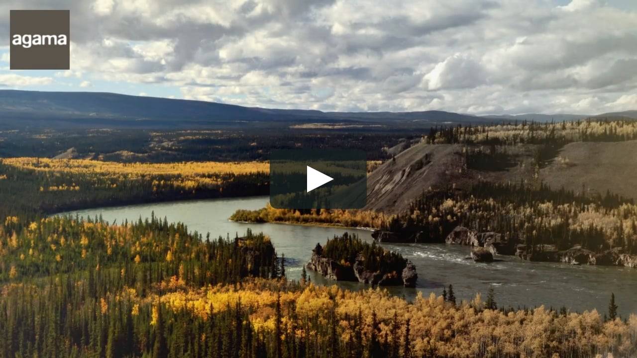 Colors de Tardor al Yukon